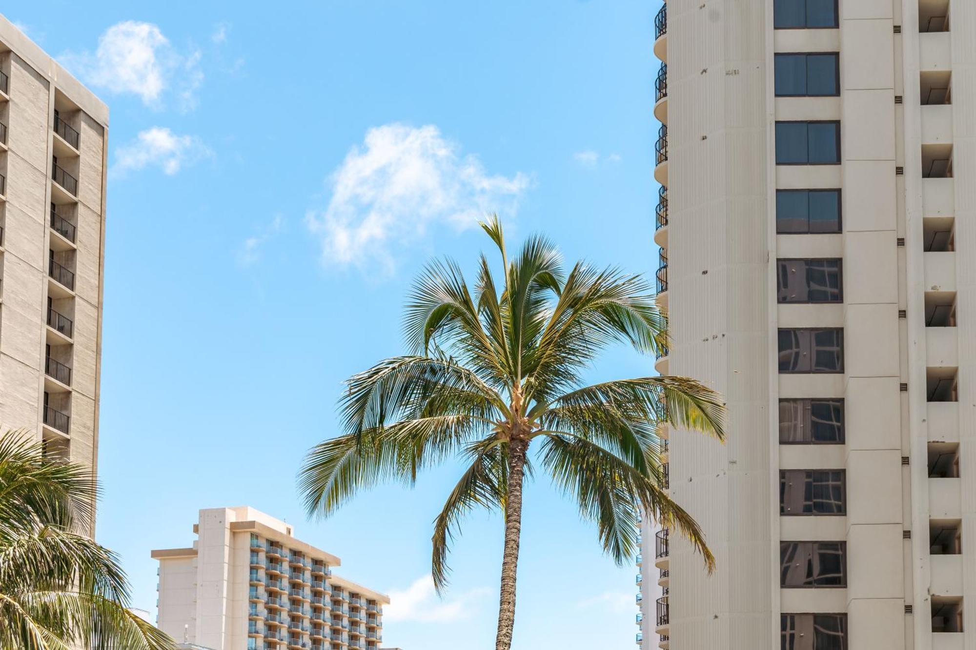 Waikiki Escapade Mountain Views Condo, Steps To Beach With Parking Perk Honolulu Exterior photo